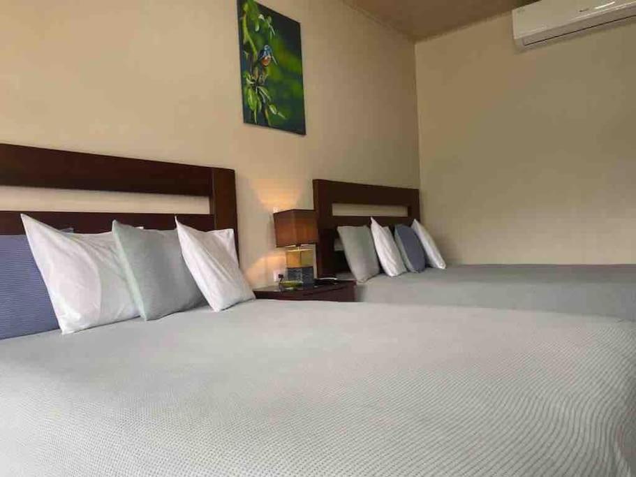 Lisa Loft Boutique Apartment La Fortuna Zewnętrze zdjęcie