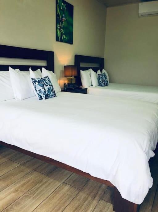 Lisa Loft Boutique Apartment La Fortuna Zewnętrze zdjęcie