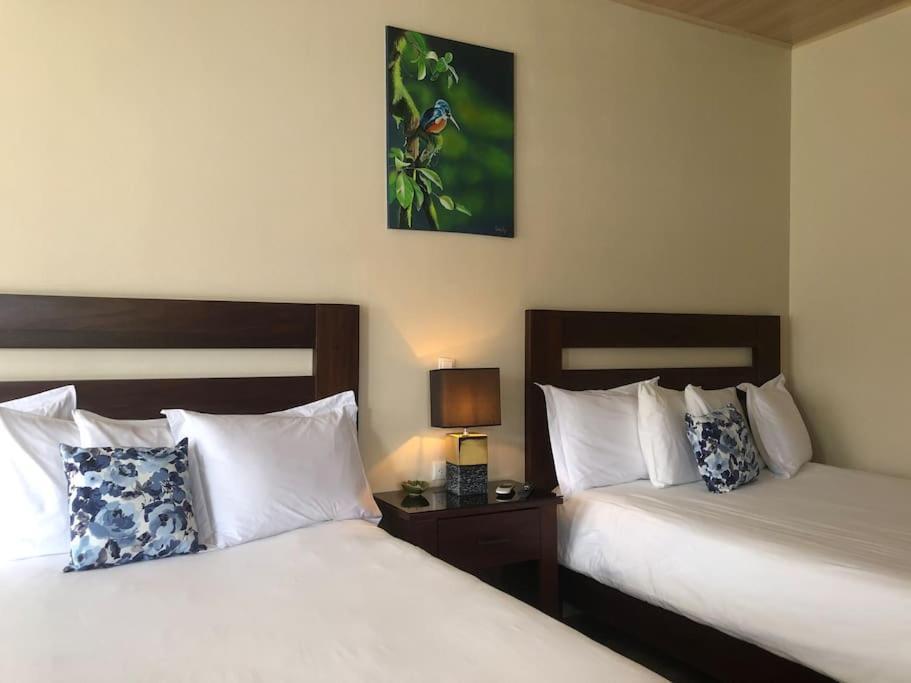 Lisa Loft Boutique Apartment La Fortuna Zewnętrze zdjęcie